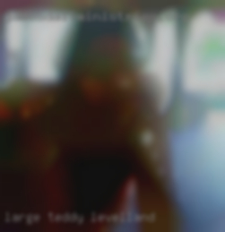 Large Teddy in Levelland Bear who loves to cuddle.