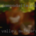 Valley, swingers